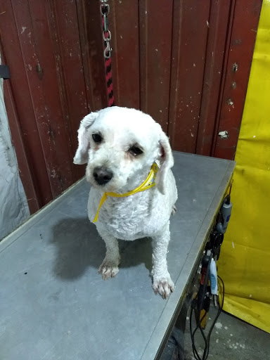 Veterinaria "la tucita" - Thumbnail