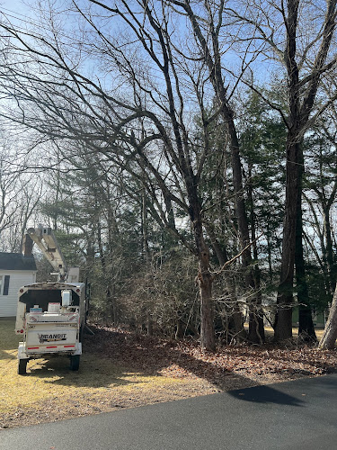 RWP Tree Worx, LLC