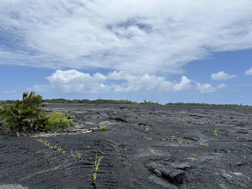 Fun Tours Hawaii
