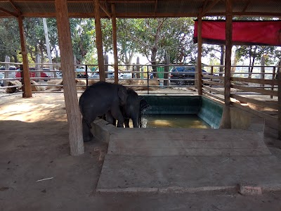 Photos of Wingabaw Elephant Camp