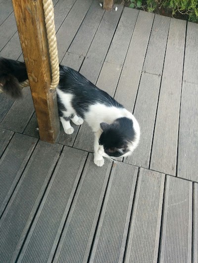 Photos of Caffe Happy