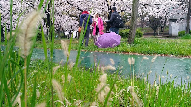 Kema Sakuranomiya Park