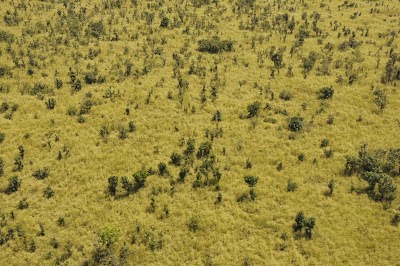 Photos of Garamba National Park