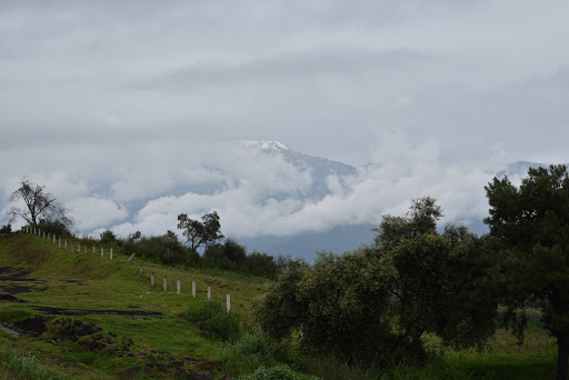 Yecapixtla - Thumbnail
