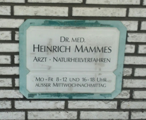 Mammes Heinrich Dr. med. Arzt für Allgemeinmedizin Chirotherapie Naturheilverfahren Gallery - Germany