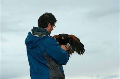 Photos of FOGAUS CANINE TRAINING-UNIVERSITY INSTITUTE