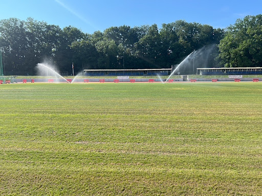 Stade Fallon - Visual
