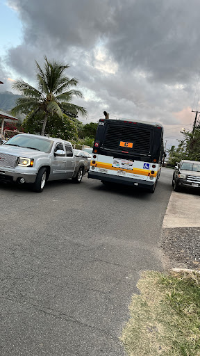 Lawaia St + Makau St
