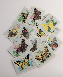 Photo n°26 de Le Cabinet de Curieux à Haute-Amance (Magasin d'antiquités)