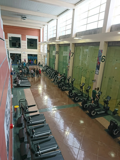 Hearst Gym Pool Gallery - United States