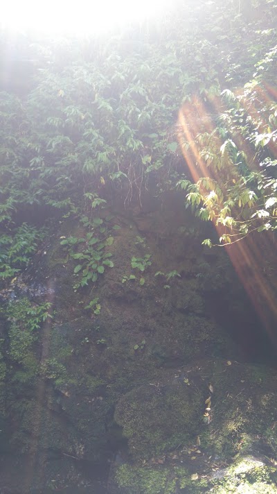 Photos of Santuario El Salto