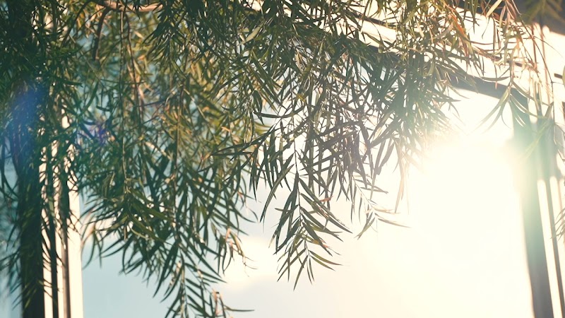 ザ・レインホテル京都