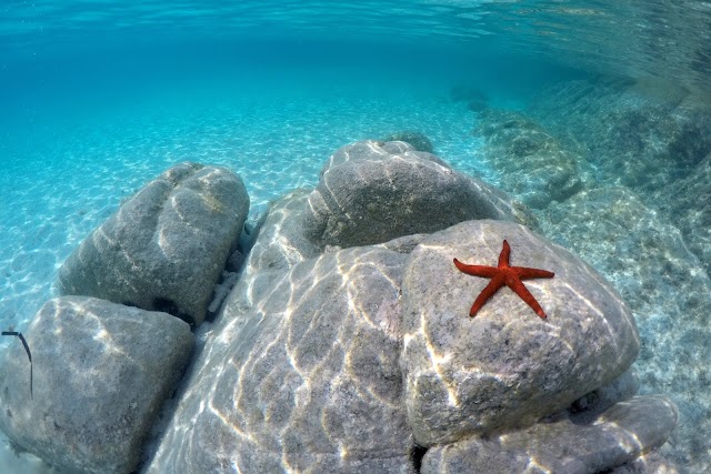 spiaggia di Cala Napoletana (Caprera)