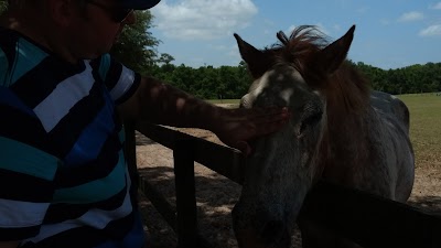 Photos of Retirement Home For Horses Inc