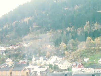 stadium