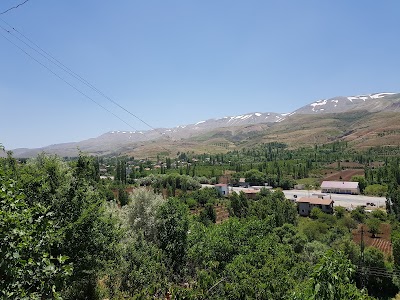 Doğanşehir