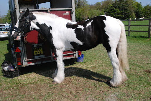 Great Bookham Equestrian Centre