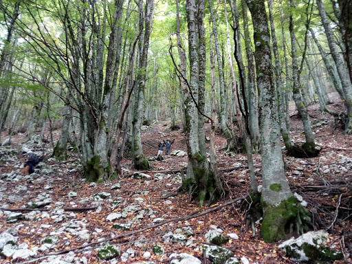 Molise Explorer - Visual
