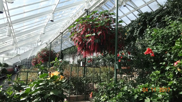 Longwood Gardens Conservatory