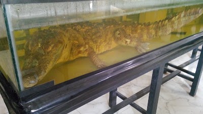 Photos of Wildlife Display & Information Center