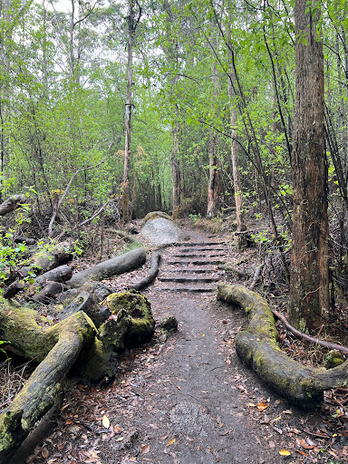 Granite Skywalk, Castle Rock - Thumbnail