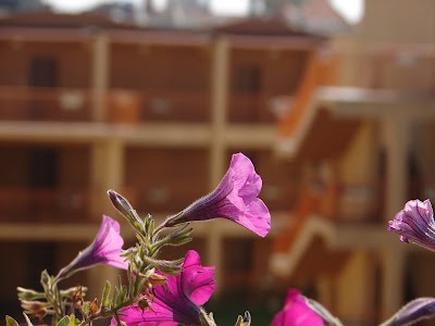 Photos of Apartments Stella Maris