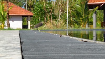 Photos of Nilaveli Ayurveda Resort