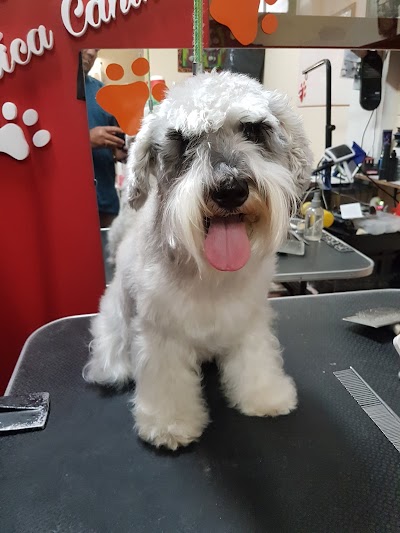 Photos of Pet Groomer Est&eacute;tica Canina