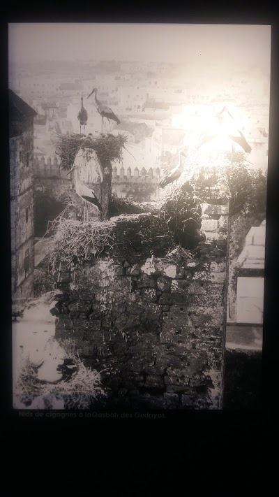 Photos of La Galerie Banque Populaire