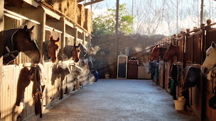 Photo n°1 de Club Hippique des 4 Fers à Notre-Dame-de-Mésage (Centre équestre)