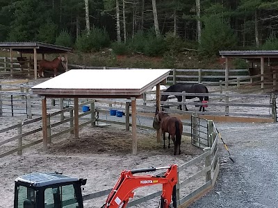 Carolina Equestrian