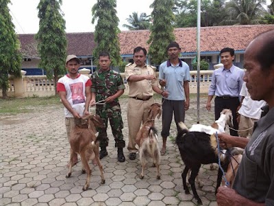 Photos of Kantor Kepala Desa Mujur Lor