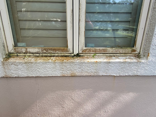Exterior home cleaning business - Thumbnail