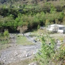 govt primary school muzaffarabad Abbottabad District Abbottabad District