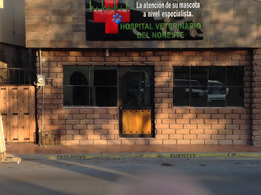 Vet Hospital Northeast - Thumbnail