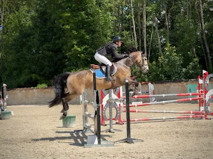 Photo n°25 de Ecuries de Suisnes Poney Club à Grisy-Suisnes (Centre équestre)