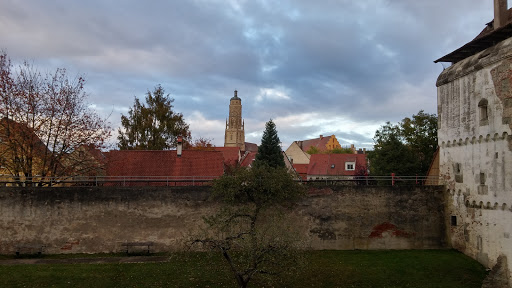 Lion Tower - Visual