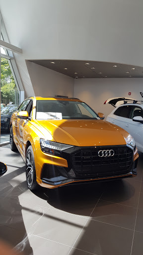 Audi Gainesville - Visual