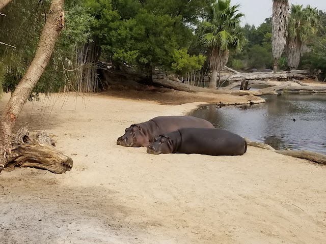 Werribee Open Range Zoo