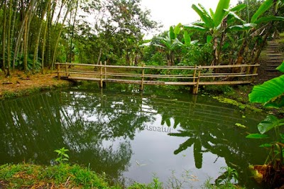 Photos of Finca Hotel Orovi