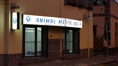 Clinica Veterinaria Animal Medical Care