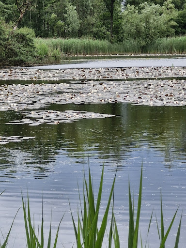 Outdoor Escape Weert Gallery - Netherlands