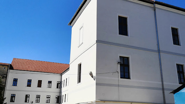 Opinii despre Colegiul Național "Doamna Stanca" în Satu Mare - Școală