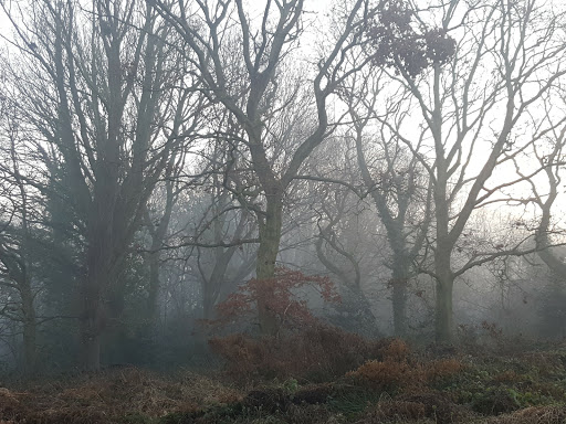 Bourne Valley - Visual