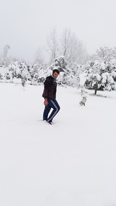 Photos of امامزاده عباس بابل