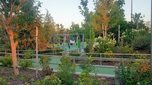 Swing Hill - Visual