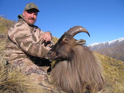 Photos of Leithen Valley Trophy Hunts, New Zealand