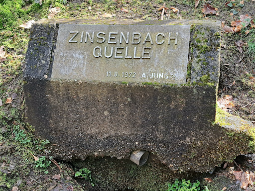 Zinsenbach Quelle - Thumbnail