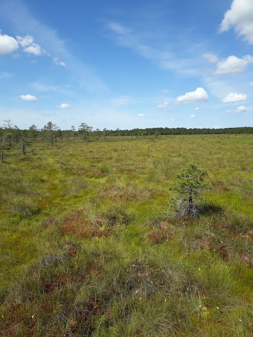 Kamanu valstybinio gamtinio rezervato direkcija