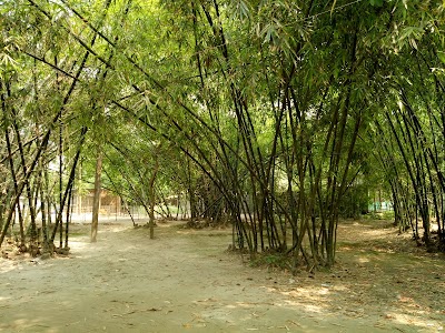 Photos of Uttam Hazi Para Jama Mosjid